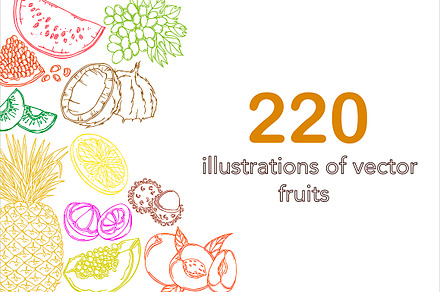 Vector fruit
