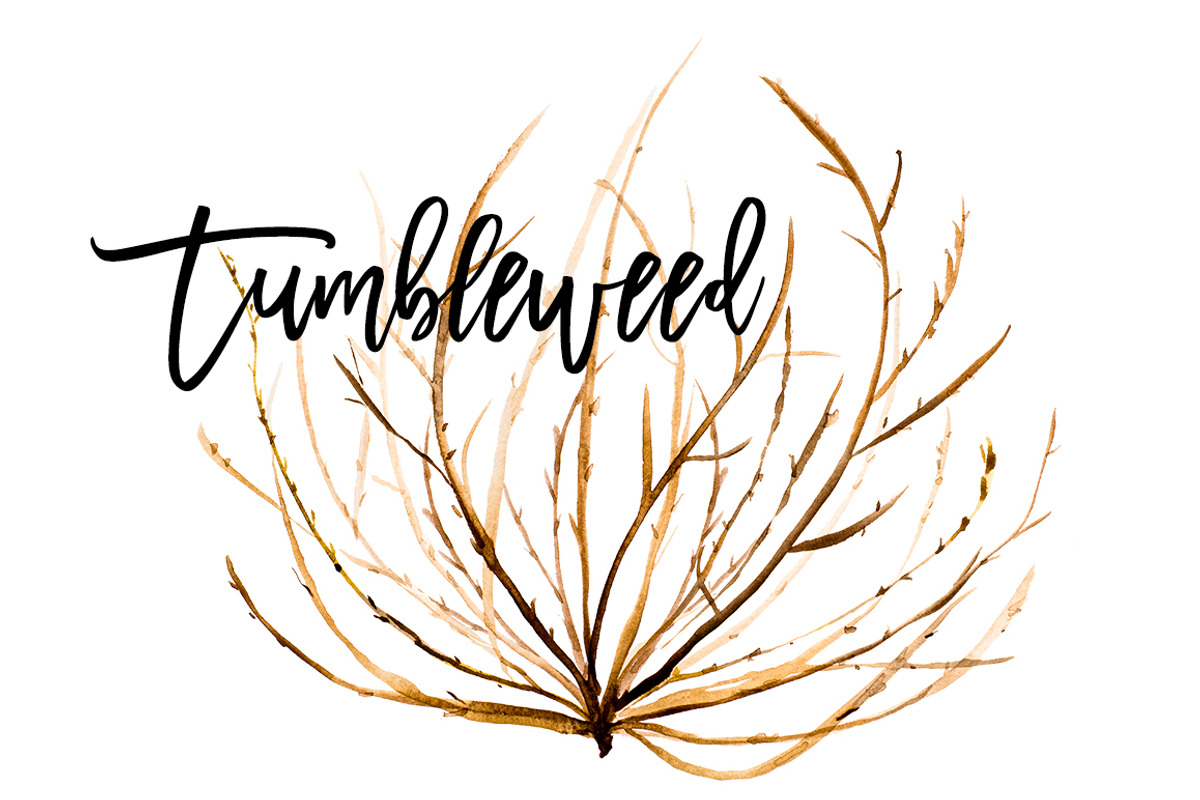 Natural Twigs & Tumbleweed Clip Art, a Graphic by DailyMiracleDigitals,LLC (Photo 6 of 8)