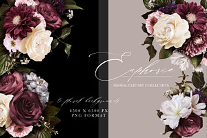 Euphoria Floral Clip Art & Patterns