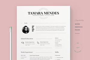 Professional Resume Template / Cv