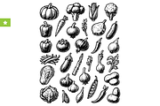 Vegetable Collection Set, an Object Graphic by RT Studio (Thumbnail 1 of 4)