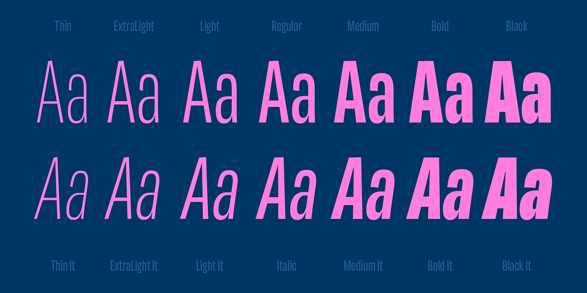 Maleo, a Sans Serif Font by Tokotype (Photo 3 of 12)