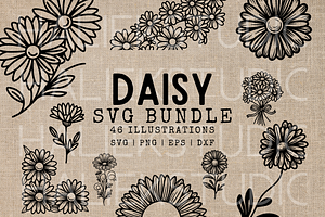 Daisy SVG Illustrations