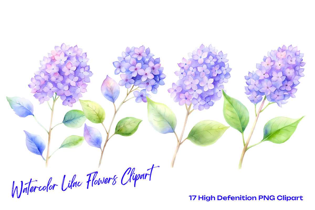 Watercolor Lilac Flowers Clipart, an Object Illustration by crafty (Photo 3 of 5)