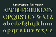 Qoncila - Modern Retro Swash Serif, a Serif Font by Qweera Studio (Thumbnail 11 of 12)