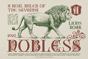 Verond Son A Symphony of Classical, a Serif Font by alit design (Thumbnail 9 of 20)