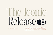 Svara Modern Editorial Serif Font, a Serif Font by Rasio Studio (Thumbnail 6 of 11)