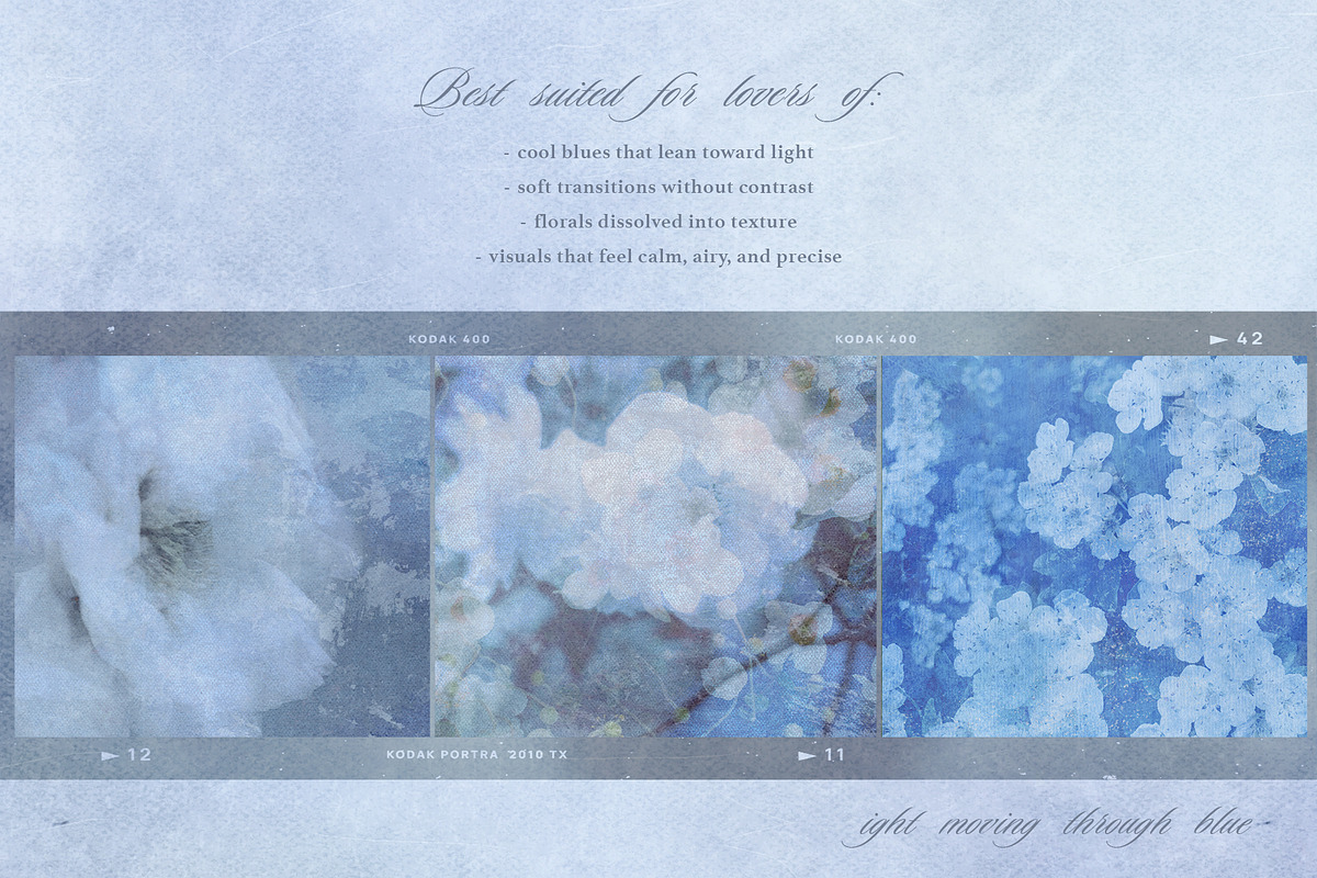 Flora Azure Blue Botanicals, a Background Graphic by alonahaidash (Photo 3 of 15)