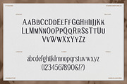 TT Galiner – Timeless Elegance Serif, a Serif Font by truetype (Thumbnail 13 of 15)