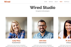 Wired - Responsive Parallax One Page