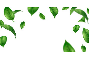 Realistic flying green leaves frame, an Object Illustration by art PVP - market