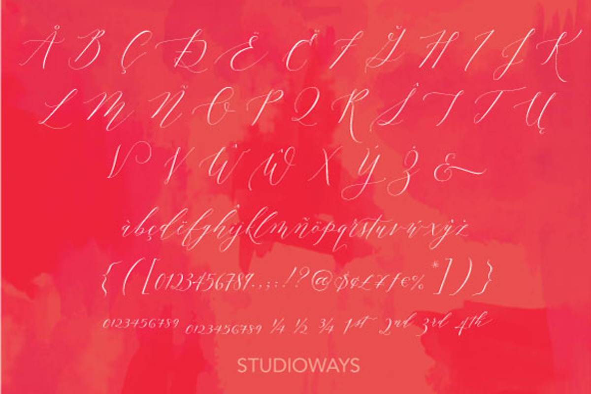 Lady Slippers & Ornaments, a Script Font by STUDIOWAYS (Photo 5 of 8)