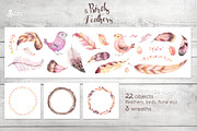 Birds & Feathers collection, an Illustration by OctopusArtis (Thumbnail 3 of 4)