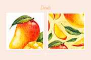 Mango. Watercolor., a Decorative Illustration by Ekaterina Mikheeva (Thumbnail 4 of 4)