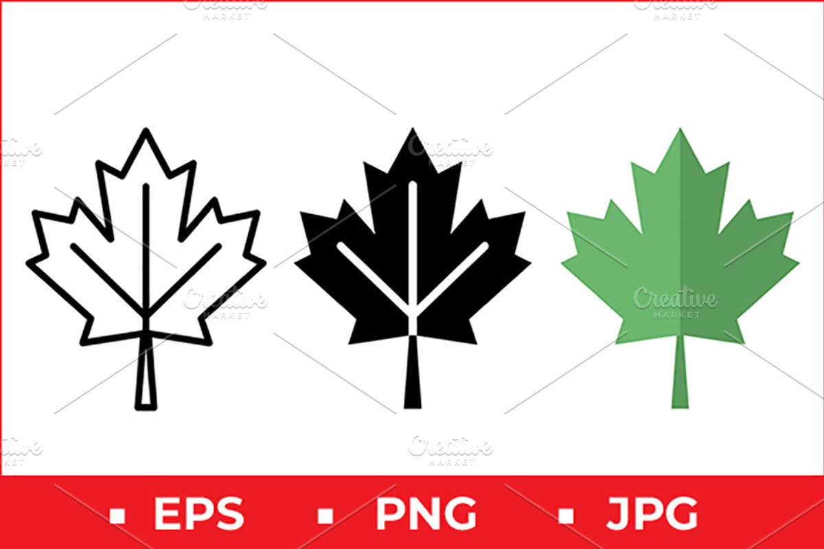 Maple Leaf Icons, a Solid Icon by Artonix (Photo 1 of 2)
