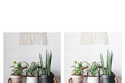 10 Bright Interior Lightroom Presets, a Preset Add-On by MockTurtleStudio (Thumbnail 4 of 11)