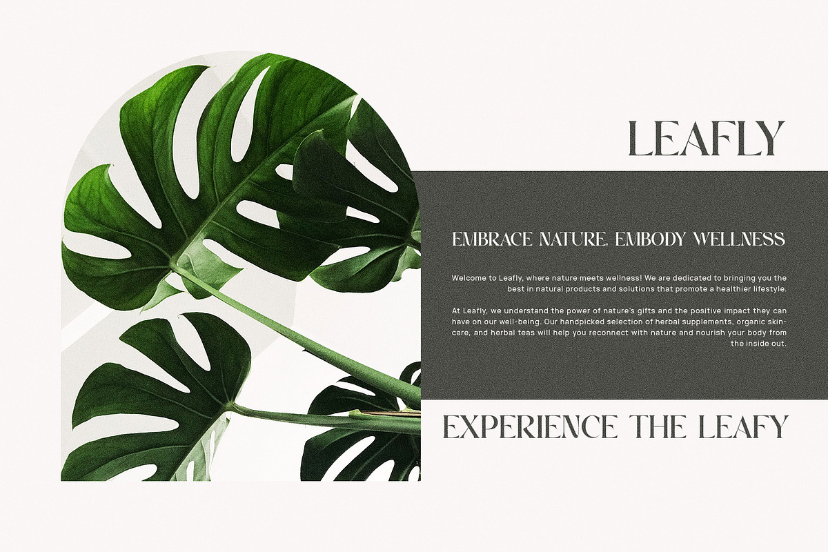 Morins Elegant Serif Font Typeface, a Serif Font by Perfectype (Photo 7 of 8)