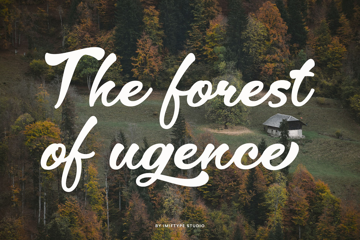 Backey Lonely – Retro Script Font, a Script Font by Imiftype Studio (Photo 6 of 10)