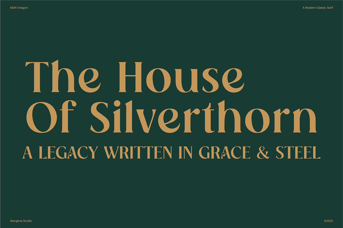MGN Oregon, a Serif Font by Morgana Studio (Photo 1 of 12)