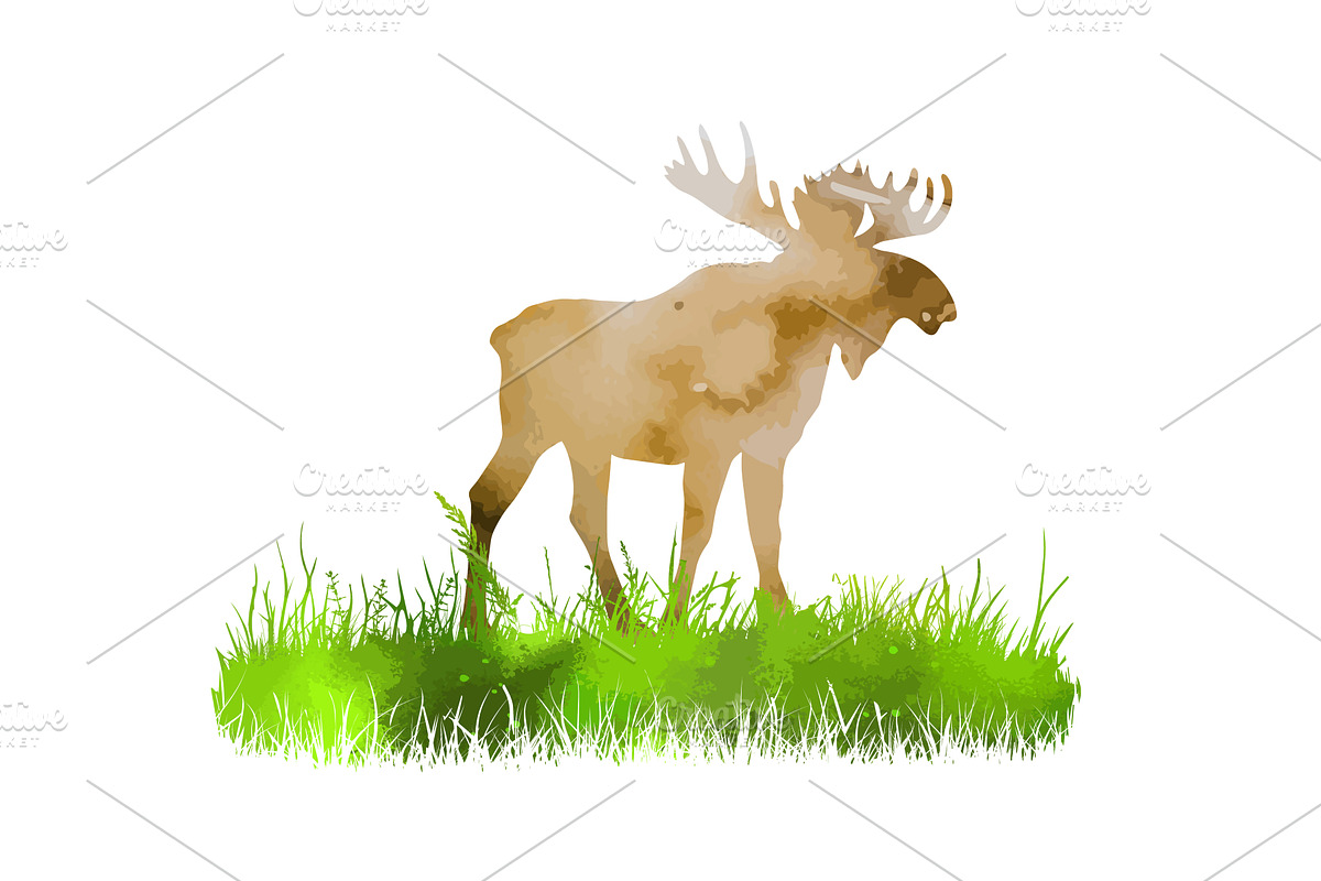 Elk watercolor. hand drawing. Not AI, an Animal Illustration by Nenahliadava Design