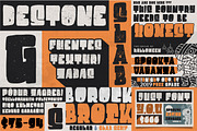 The MEGA FONT COLLECTIONS 2021, a Serif Font by Garisman Std (Thumbnail 6 of 52)