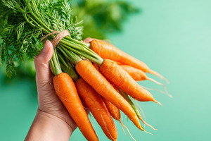 Fresh baby carrots bundle in hand, a Food & Drink Photo by AlyaAnd