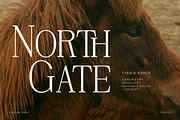 Rinovich | Display Serif Font, a Serif Font by gracetype_studio (Thumbnail 4 of 12)