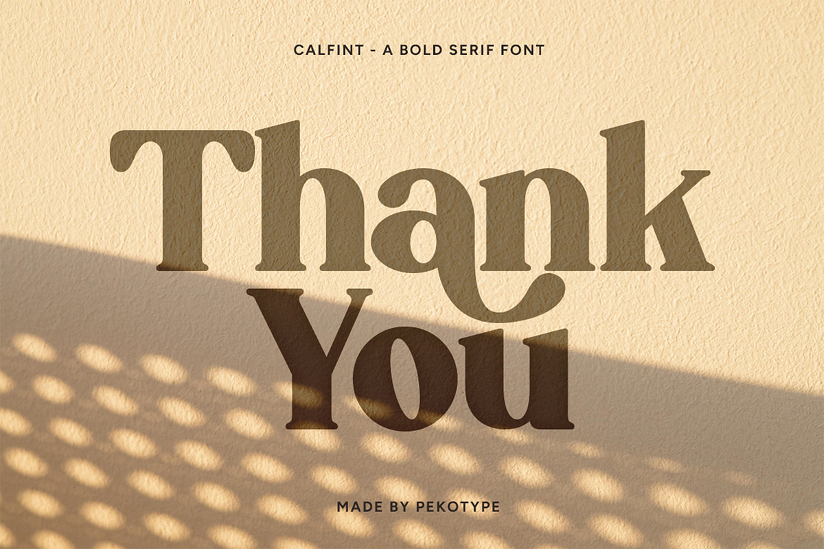 Calfint - Bold Serif Font, a Serif Font by Pekotype (Photo 13 of 13)