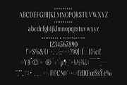 Rastofi Modern Ligature Serif, a Serif Font by Letterena Studios (Thumbnail 13 of 15)