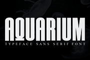 AQUARIUM / Sans Serif Font, a Sans Serif Font by Scratchones (Thumbnail 1 of 10)