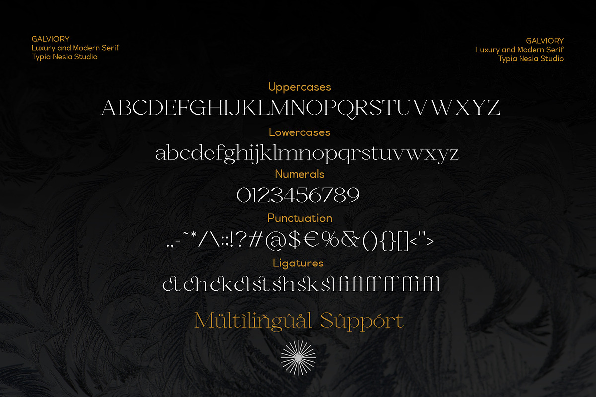 Galviory - Modern Serif, a Serif Font by Typia Nesia (Photo 9 of 9)