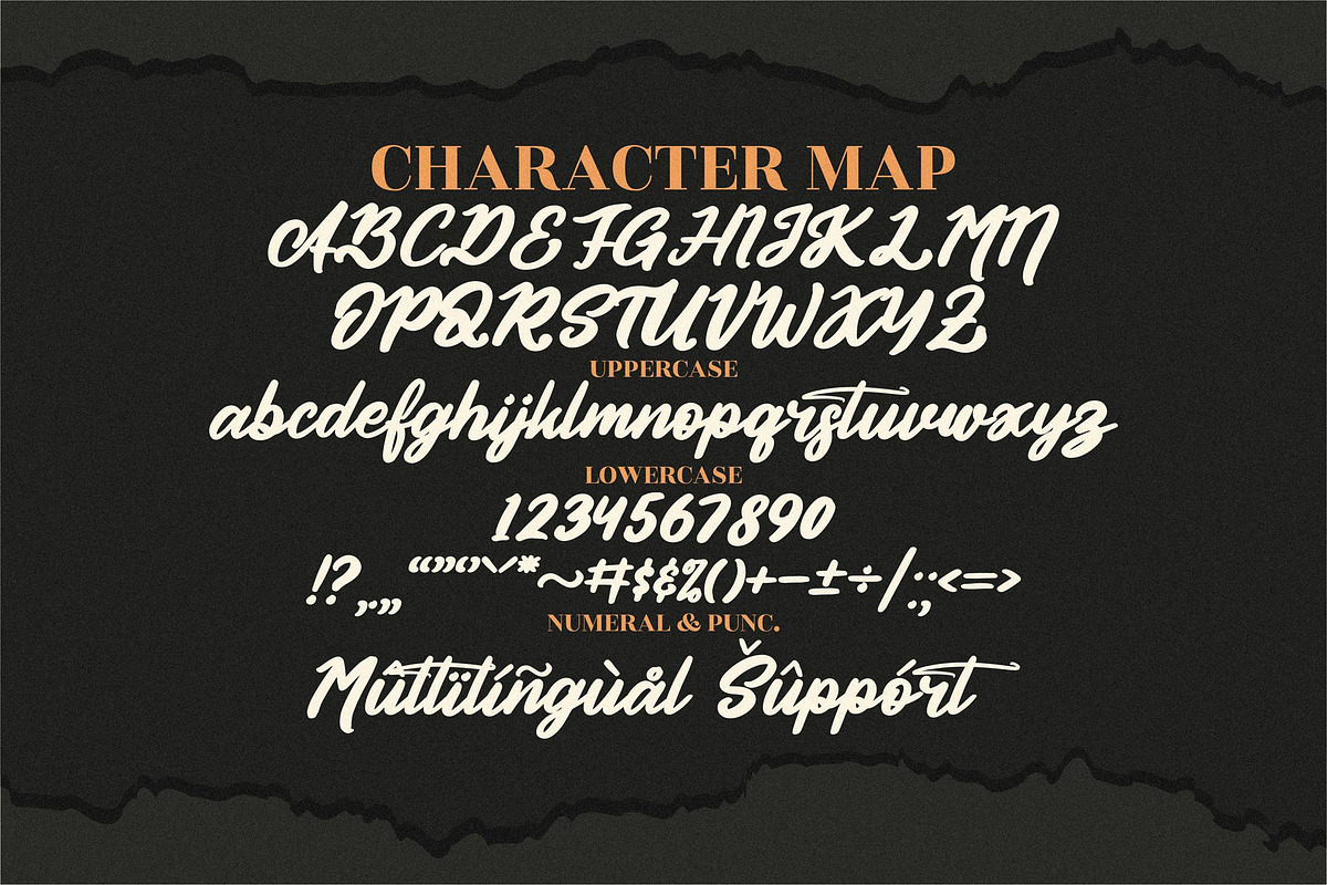 Authentic Calisttera Script Font LS, a Script Font by GranzCreative (Photo 10 of 12)