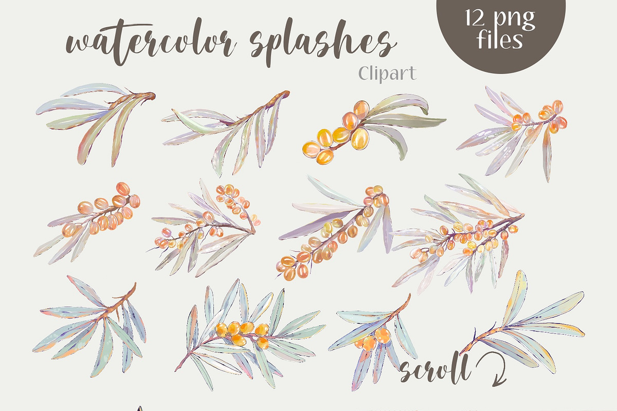 Sea buckthorn clipart and patterns, a Decorative Illustration by Shabbypie (Photo 2 of 7)