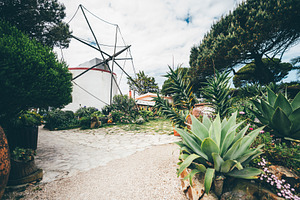 Wide-angle shot of garden, windmill, an Architecture Photo by SkyNext