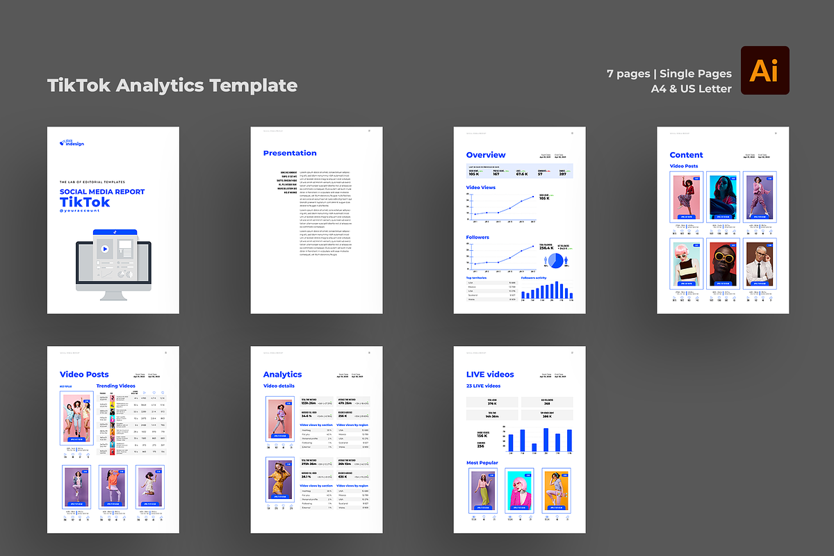 TikTok Analytics and Stats Template, a Templates & Theme by StockInDesign (Photo 2 of 5)