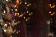 Christmas Lights Digital Backdrop, a Layer Style Add-On by Wild Honey Design Co. (Thumbnail 2 of 2)