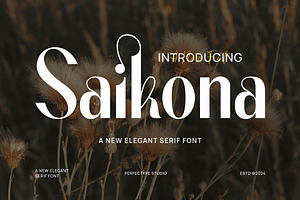 Saikona Elegant Sans Serif Font