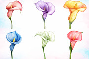 Watercolor Calla Lily Flower Clipart, a Seasonal Illustration by Canvas Craft (Thumbnail 3 of 3)