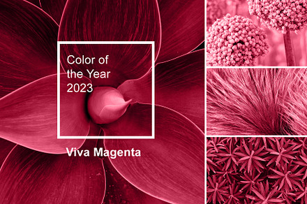 Color of year 2023 - Viva Magenta