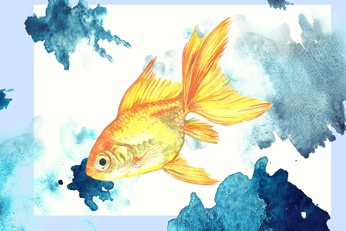 Watercolor tropical fish, an Illustration by Art Watercolor (Photo 3 of 8)