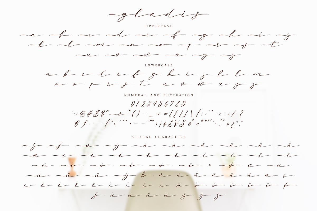Gladis - Modern Calligraphy preview 7