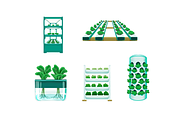 Hydroponic Farming Systems, an Object Graphic by Deemak Daksina (Thumbnail 2 of 3)