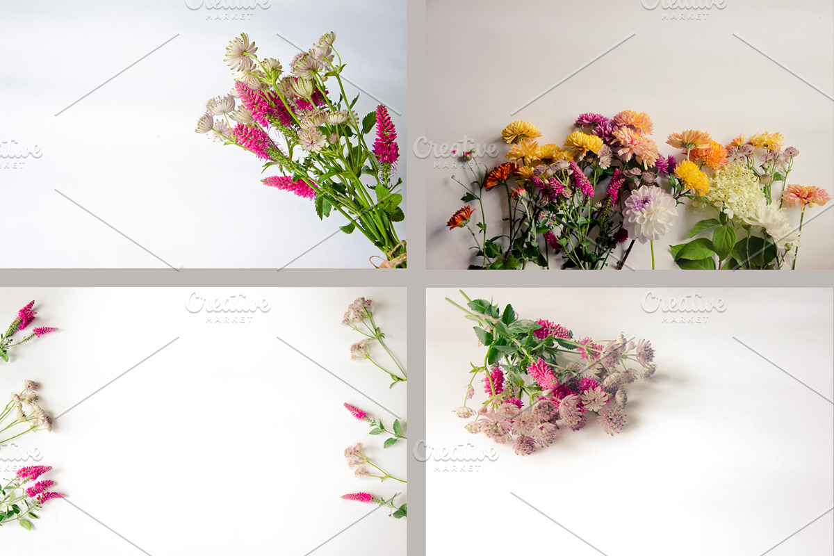 Garden flowers. 22 foto, a Beauty & Fashion Photo by olly87 (Photo 2 of 6)