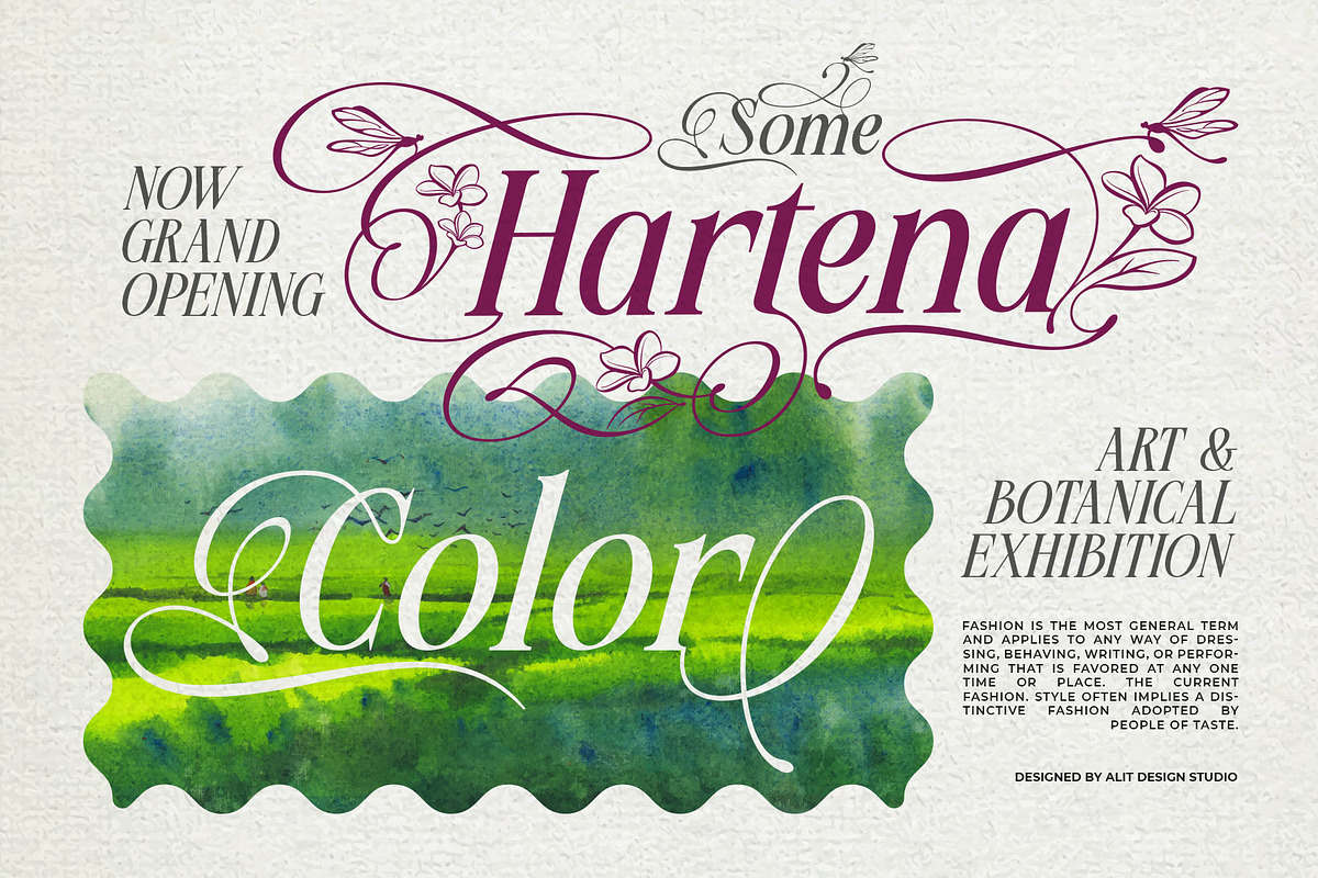 Meillona Typeface, a Serif Font by alit design (Photo 8 of 17)