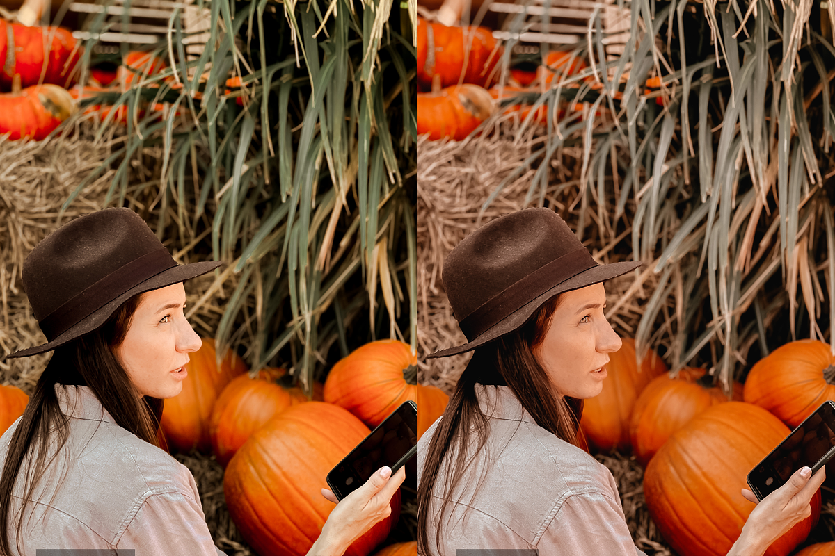 10 Pumpkin Lightroom Presets, a Preset Add-On by RamsaGraphi (Photo 5 of 10)