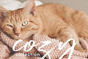 Magic Winter | Script Serif Font Duo, a Serif Font by KA Designs (Thumbnail 9 of 24)