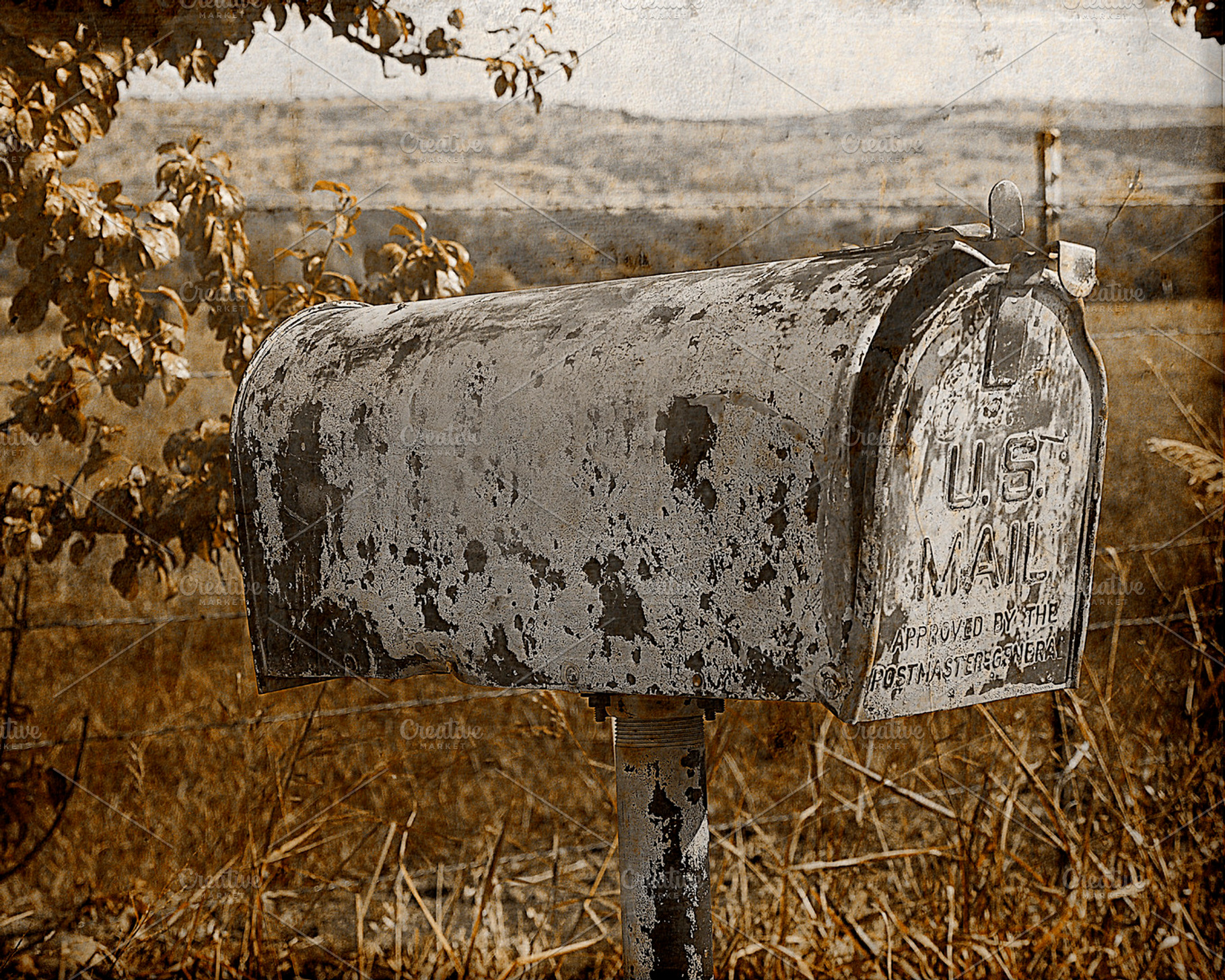 Special Delivery, a Nature Photo by HAUTEGRAPHIQUE