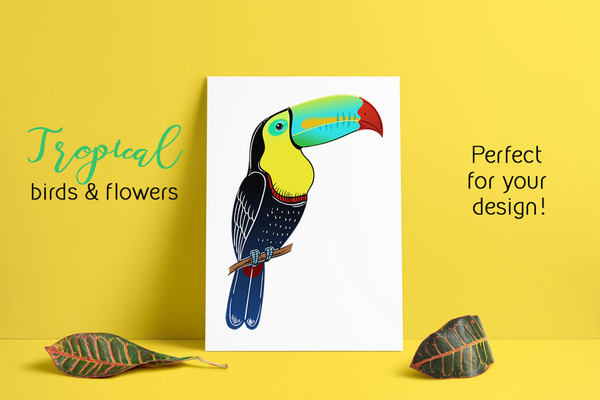 Tropical birds & flowers, an Object Graphic by Anastasia (Photo 6 of 12)