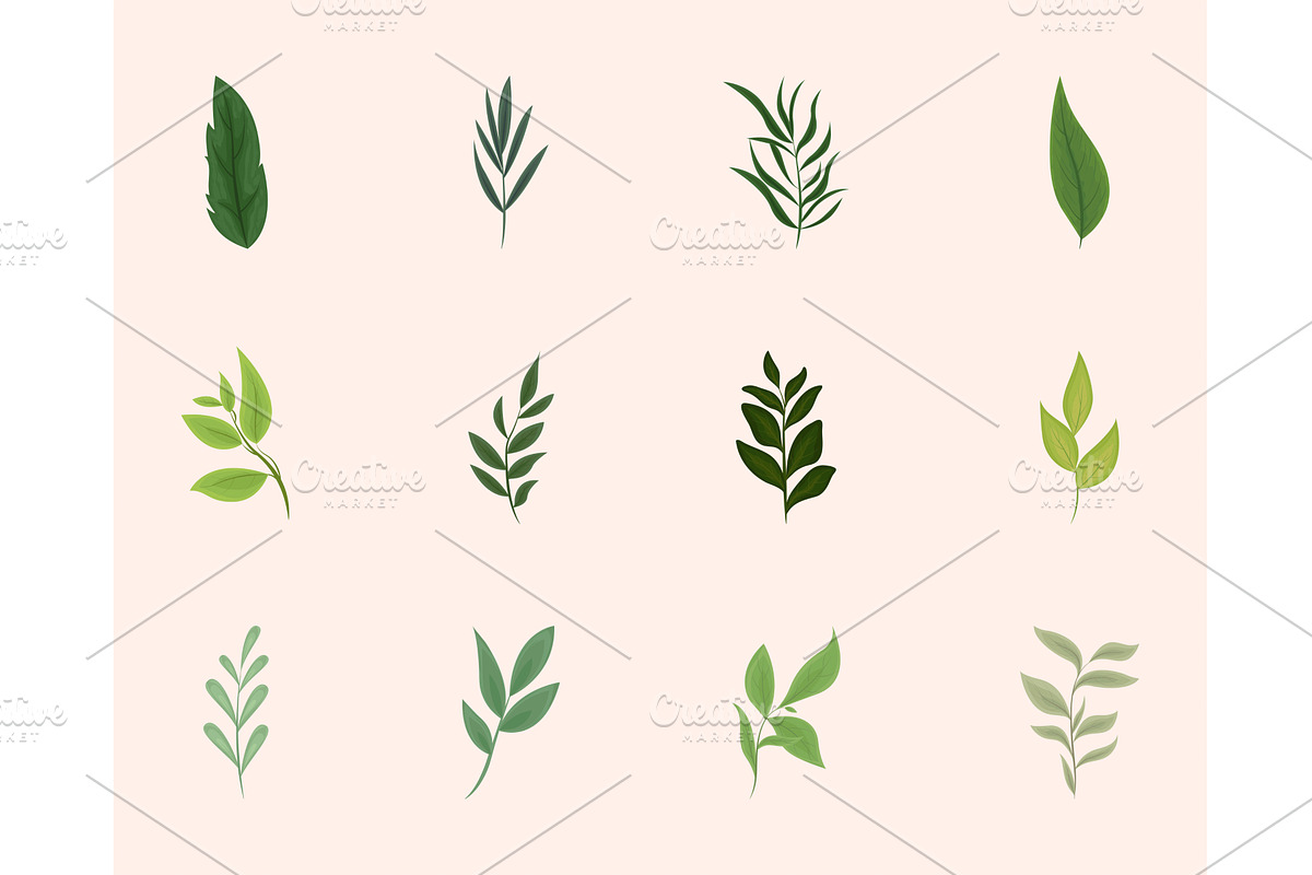 nature leaves and branches, an Illustration by studiogstock