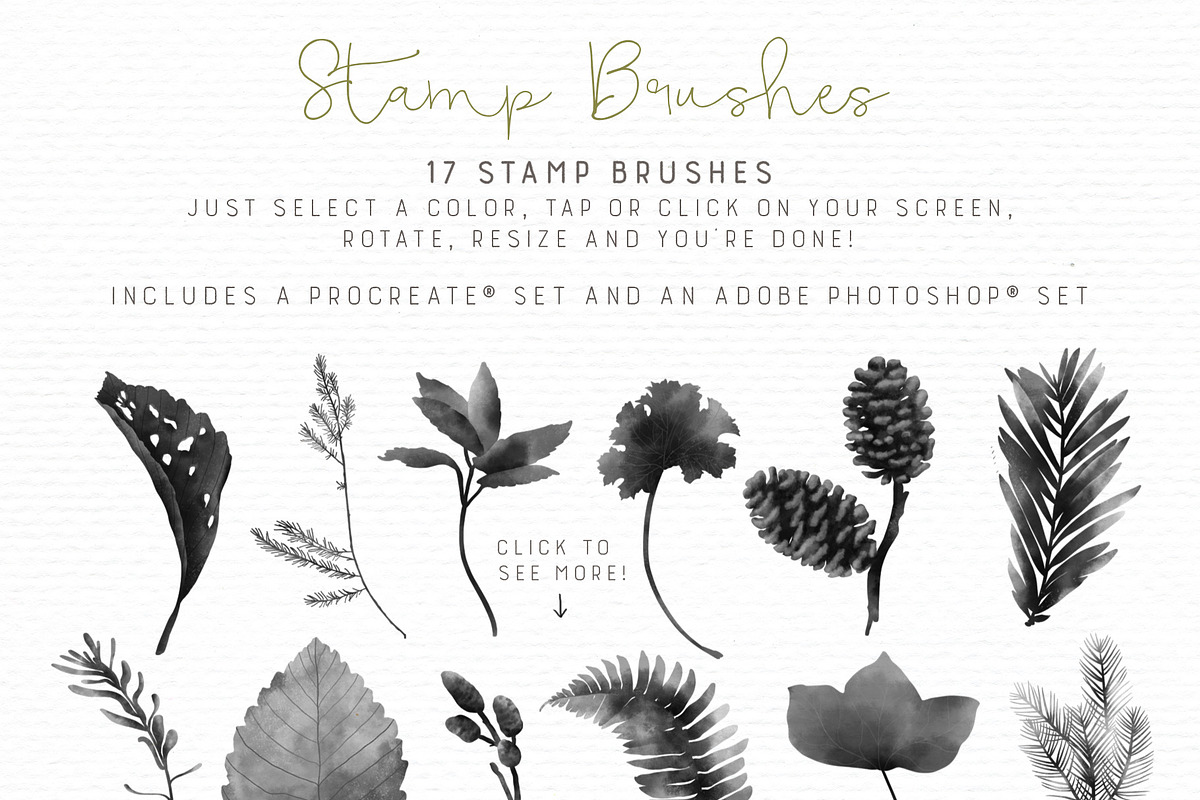Botanical Forest - Brushes and Icons, an Illustration by Sandra Mejia (Photo 8 of 13)